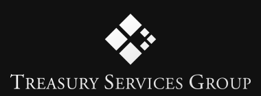 Treasury Services Group